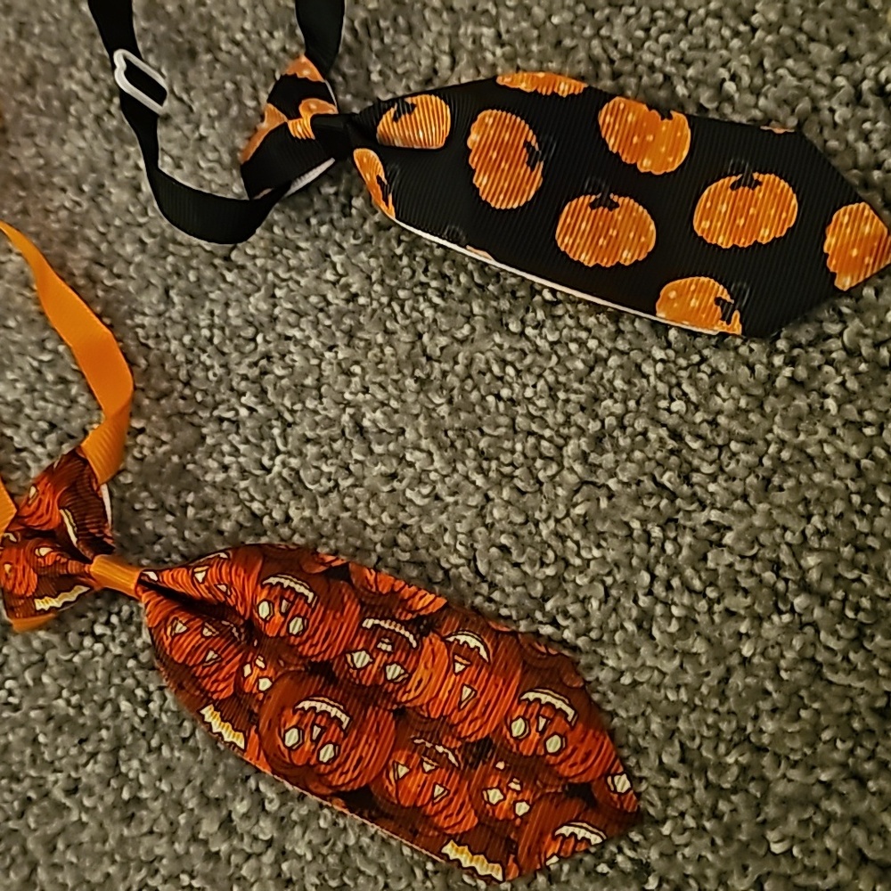 🟠Pet Halloween Ties #A3